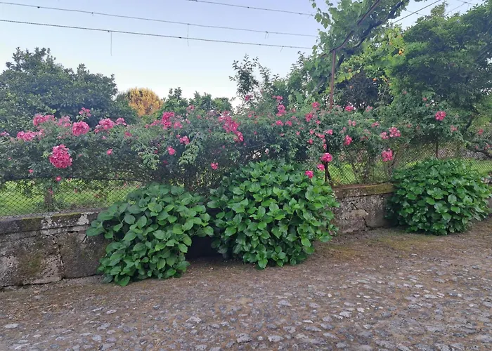 Quinta Do Vale Do Monte