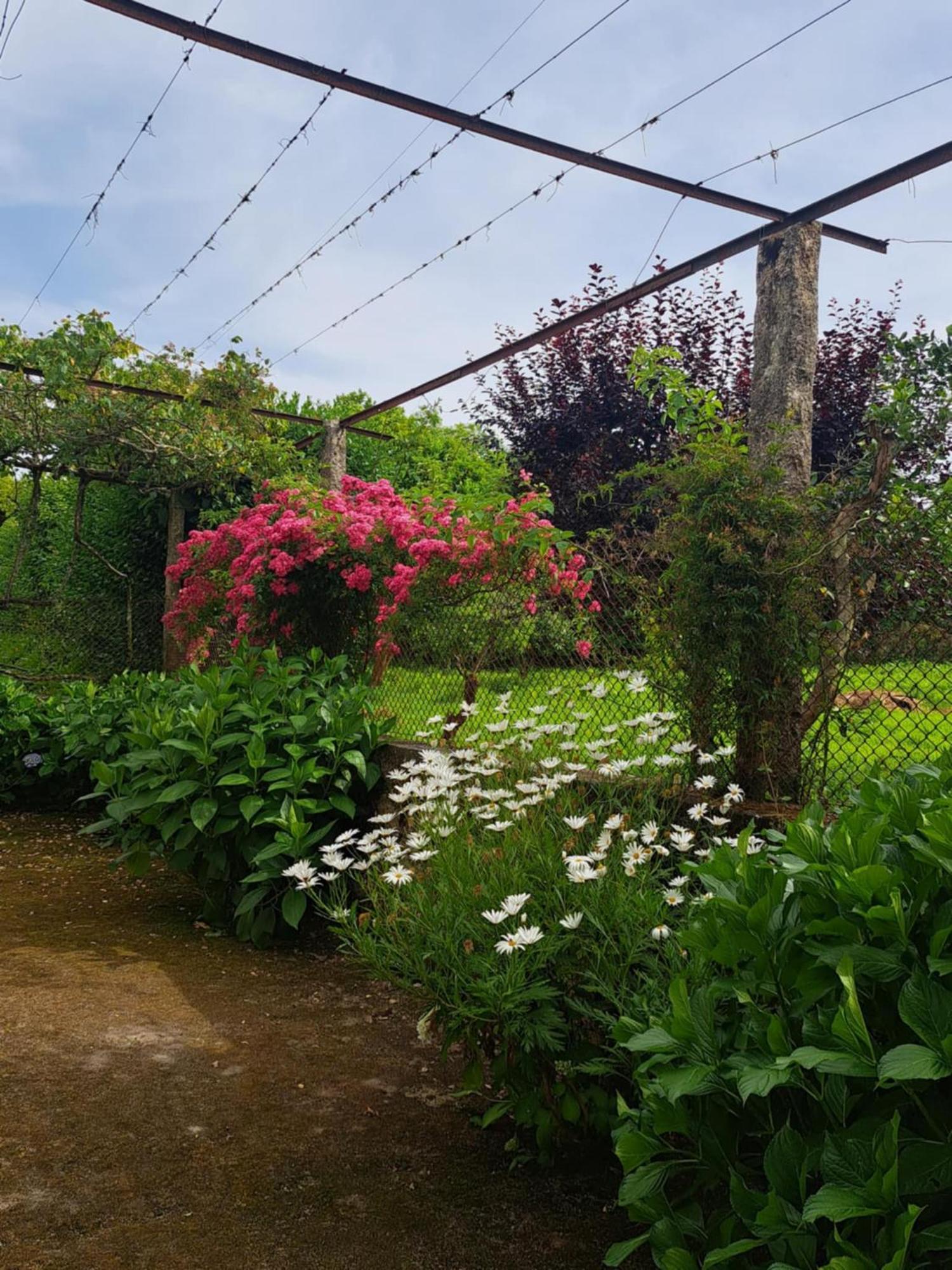Quinta Do Vale Do Monte Landhuis Viana do Castelo