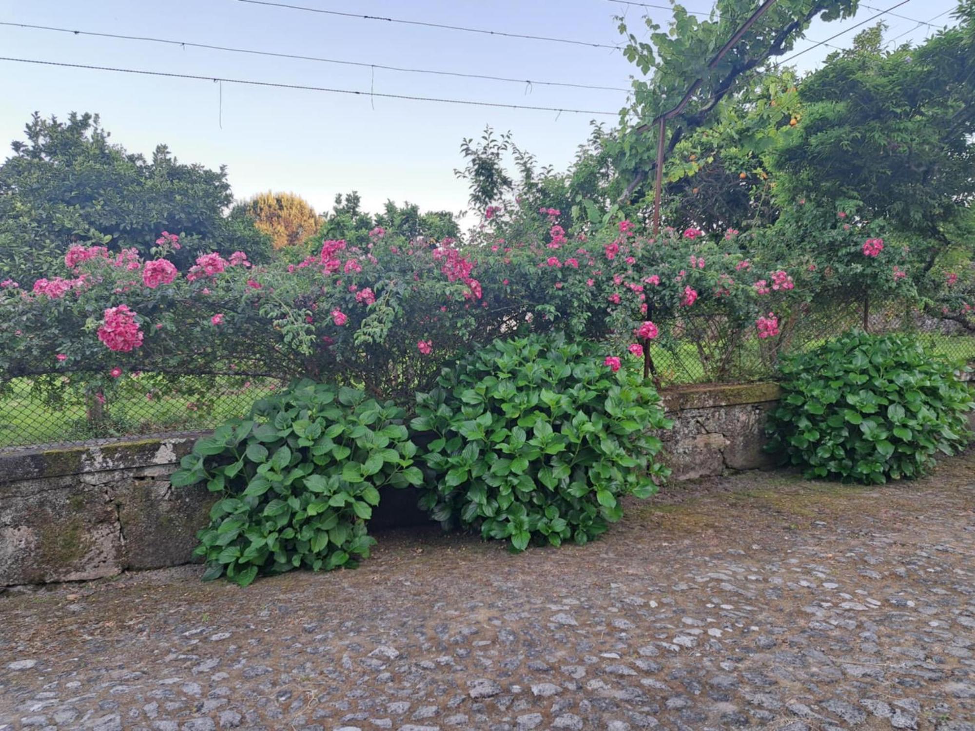 Quinta Do Vale Do Monte Viana do Castelo