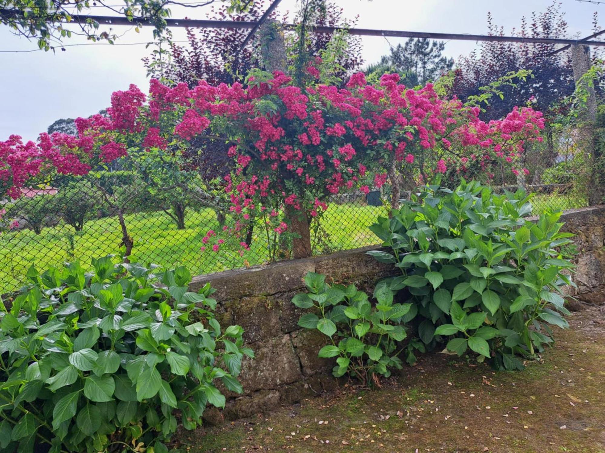 Quinta Do Vale Do Monte * Viana do Castelo