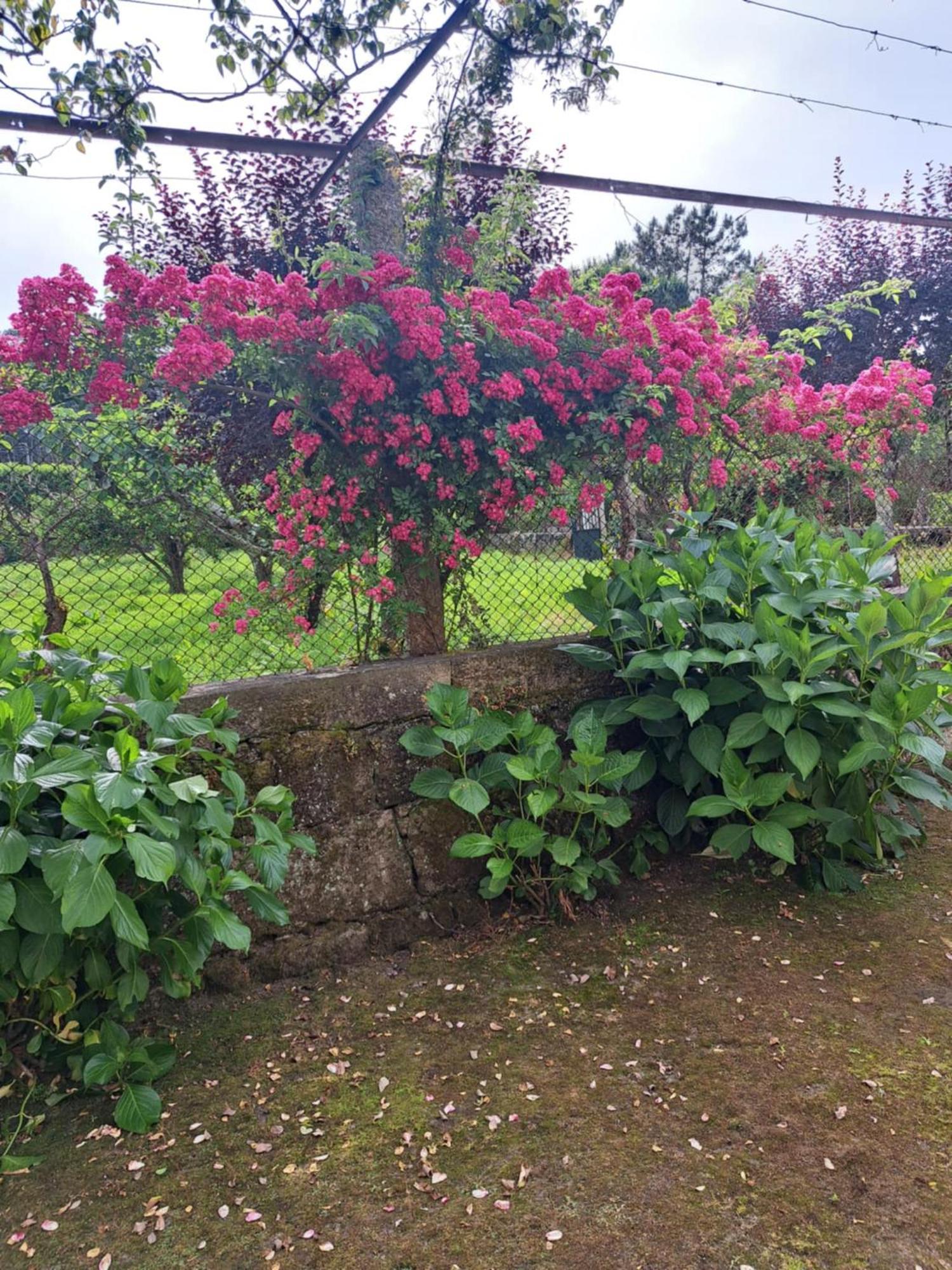 Quinta Do Vale Do Monte